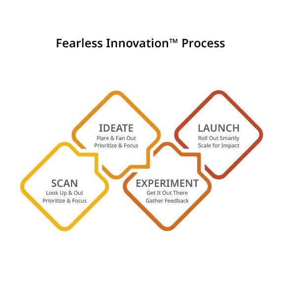 Fearless Innovation Model Diagram